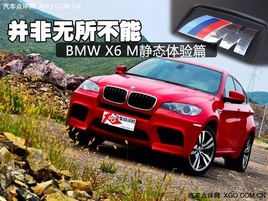 wOܣȜyԇ2010RX6 M