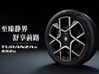����˾ͨTURANZA̩Ȼ��6��̥��ʽ����С�����N70 Max��N90 Max
