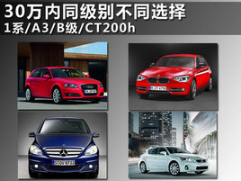 30ͬͬѡ 1ϵ/A3/B/CT200h